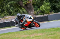 Oulton-Park-Track-Day-18th-Aug-2918;PJ-Motorsport;anglesey;brands-hatch;cadwell-park;croft;donington-park;enduro-digital-images;event-digital-images;eventdigitalimages;mallory;no-limits;oulton-park;peter-wileman-photography;racing-digital-images;silverstone;snetterton;trackday-digital-images;trackday-photos;vmcc-banbury-run;welsh-2-day-enduro