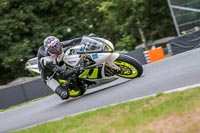 Oulton-Park-Track-Day-18th-Aug-2918;PJ-Motorsport;anglesey;brands-hatch;cadwell-park;croft;donington-park;enduro-digital-images;event-digital-images;eventdigitalimages;mallory;no-limits;oulton-park;peter-wileman-photography;racing-digital-images;silverstone;snetterton;trackday-digital-images;trackday-photos;vmcc-banbury-run;welsh-2-day-enduro