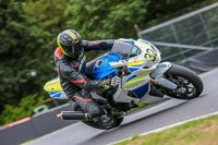 Oulton-Park-Track-Day-18th-Aug-2918;PJ-Motorsport;anglesey;brands-hatch;cadwell-park;croft;donington-park;enduro-digital-images;event-digital-images;eventdigitalimages;mallory;no-limits;oulton-park;peter-wileman-photography;racing-digital-images;silverstone;snetterton;trackday-digital-images;trackday-photos;vmcc-banbury-run;welsh-2-day-enduro