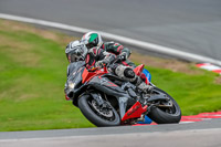 Oulton-Park-Track-Day-18th-Aug-2918;PJ-Motorsport;anglesey;brands-hatch;cadwell-park;croft;donington-park;enduro-digital-images;event-digital-images;eventdigitalimages;mallory;no-limits;oulton-park;peter-wileman-photography;racing-digital-images;silverstone;snetterton;trackday-digital-images;trackday-photos;vmcc-banbury-run;welsh-2-day-enduro