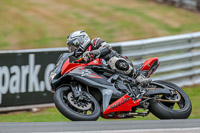 Oulton-Park-Track-Day-18th-Aug-2918;PJ-Motorsport;anglesey;brands-hatch;cadwell-park;croft;donington-park;enduro-digital-images;event-digital-images;eventdigitalimages;mallory;no-limits;oulton-park;peter-wileman-photography;racing-digital-images;silverstone;snetterton;trackday-digital-images;trackday-photos;vmcc-banbury-run;welsh-2-day-enduro