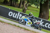 Oulton-Park-Track-Day-18th-Aug-2918;PJ-Motorsport;anglesey;brands-hatch;cadwell-park;croft;donington-park;enduro-digital-images;event-digital-images;eventdigitalimages;mallory;no-limits;oulton-park;peter-wileman-photography;racing-digital-images;silverstone;snetterton;trackday-digital-images;trackday-photos;vmcc-banbury-run;welsh-2-day-enduro