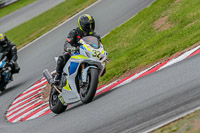 Oulton-Park-Track-Day-18th-Aug-2918;PJ-Motorsport;anglesey;brands-hatch;cadwell-park;croft;donington-park;enduro-digital-images;event-digital-images;eventdigitalimages;mallory;no-limits;oulton-park;peter-wileman-photography;racing-digital-images;silverstone;snetterton;trackday-digital-images;trackday-photos;vmcc-banbury-run;welsh-2-day-enduro