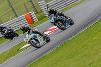 Oulton-Park-Track-Day-18th-Aug-2918;PJ-Motorsport;anglesey;brands-hatch;cadwell-park;croft;donington-park;enduro-digital-images;event-digital-images;eventdigitalimages;mallory;no-limits;oulton-park;peter-wileman-photography;racing-digital-images;silverstone;snetterton;trackday-digital-images;trackday-photos;vmcc-banbury-run;welsh-2-day-enduro