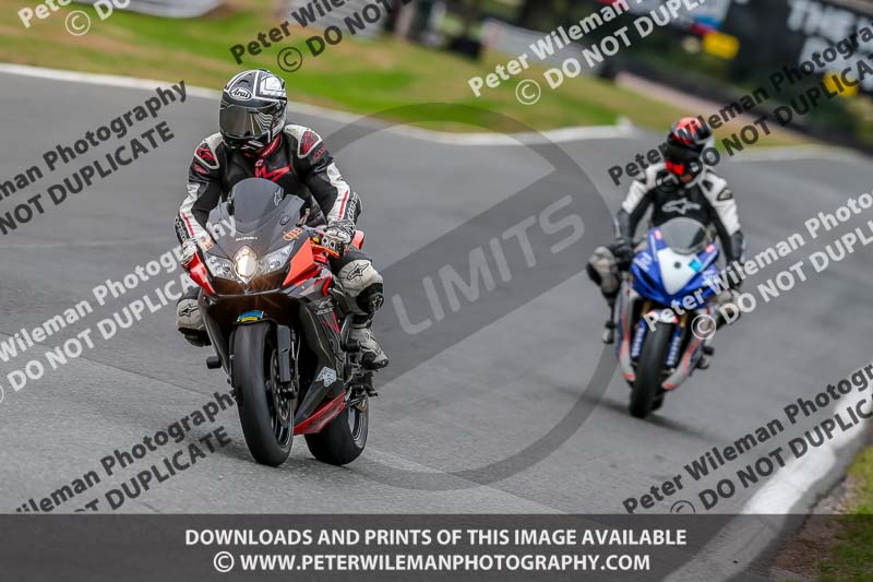 Oulton Park Track Day 18th Aug 2918;PJ Motorsport;anglesey;brands hatch;cadwell park;croft;donington park;enduro digital images;event digital images;eventdigitalimages;mallory;no limits;oulton park;peter wileman photography;racing digital images;silverstone;snetterton;trackday digital images;trackday photos;vmcc banbury run;welsh 2 day enduro