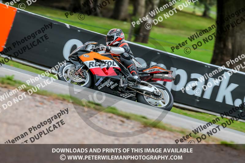 Oulton Park Track Day 18th Aug 2918;PJ Motorsport;anglesey;brands hatch;cadwell park;croft;donington park;enduro digital images;event digital images;eventdigitalimages;mallory;no limits;oulton park;peter wileman photography;racing digital images;silverstone;snetterton;trackday digital images;trackday photos;vmcc banbury run;welsh 2 day enduro