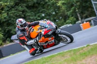 Oulton-Park-Track-Day-18th-Aug-2918;PJ-Motorsport;anglesey;brands-hatch;cadwell-park;croft;donington-park;enduro-digital-images;event-digital-images;eventdigitalimages;mallory;no-limits;oulton-park;peter-wileman-photography;racing-digital-images;silverstone;snetterton;trackday-digital-images;trackday-photos;vmcc-banbury-run;welsh-2-day-enduro