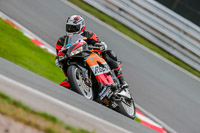 Oulton-Park-Track-Day-18th-Aug-2918;PJ-Motorsport;anglesey;brands-hatch;cadwell-park;croft;donington-park;enduro-digital-images;event-digital-images;eventdigitalimages;mallory;no-limits;oulton-park;peter-wileman-photography;racing-digital-images;silverstone;snetterton;trackday-digital-images;trackday-photos;vmcc-banbury-run;welsh-2-day-enduro