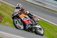 Oulton-Park-Track-Day-18th-Aug-2918;PJ-Motorsport;anglesey;brands-hatch;cadwell-park;croft;donington-park;enduro-digital-images;event-digital-images;eventdigitalimages;mallory;no-limits;oulton-park;peter-wileman-photography;racing-digital-images;silverstone;snetterton;trackday-digital-images;trackday-photos;vmcc-banbury-run;welsh-2-day-enduro