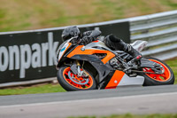 Oulton-Park-Track-Day-18th-Aug-2918;PJ-Motorsport;anglesey;brands-hatch;cadwell-park;croft;donington-park;enduro-digital-images;event-digital-images;eventdigitalimages;mallory;no-limits;oulton-park;peter-wileman-photography;racing-digital-images;silverstone;snetterton;trackday-digital-images;trackday-photos;vmcc-banbury-run;welsh-2-day-enduro