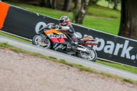 Oulton-Park-Track-Day-18th-Aug-2918;PJ-Motorsport;anglesey;brands-hatch;cadwell-park;croft;donington-park;enduro-digital-images;event-digital-images;eventdigitalimages;mallory;no-limits;oulton-park;peter-wileman-photography;racing-digital-images;silverstone;snetterton;trackday-digital-images;trackday-photos;vmcc-banbury-run;welsh-2-day-enduro