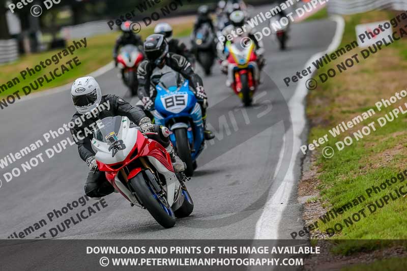 Oulton Park Track Day 18th Aug 2918;PJ Motorsport;anglesey;brands hatch;cadwell park;croft;donington park;enduro digital images;event digital images;eventdigitalimages;mallory;no limits;oulton park;peter wileman photography;racing digital images;silverstone;snetterton;trackday digital images;trackday photos;vmcc banbury run;welsh 2 day enduro