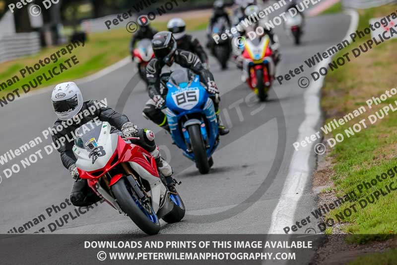 Oulton Park Track Day 18th Aug 2918;PJ Motorsport;anglesey;brands hatch;cadwell park;croft;donington park;enduro digital images;event digital images;eventdigitalimages;mallory;no limits;oulton park;peter wileman photography;racing digital images;silverstone;snetterton;trackday digital images;trackday photos;vmcc banbury run;welsh 2 day enduro