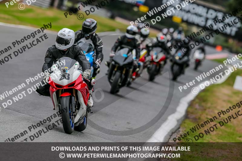 Oulton Park Track Day 18th Aug 2918;PJ Motorsport;anglesey;brands hatch;cadwell park;croft;donington park;enduro digital images;event digital images;eventdigitalimages;mallory;no limits;oulton park;peter wileman photography;racing digital images;silverstone;snetterton;trackday digital images;trackday photos;vmcc banbury run;welsh 2 day enduro