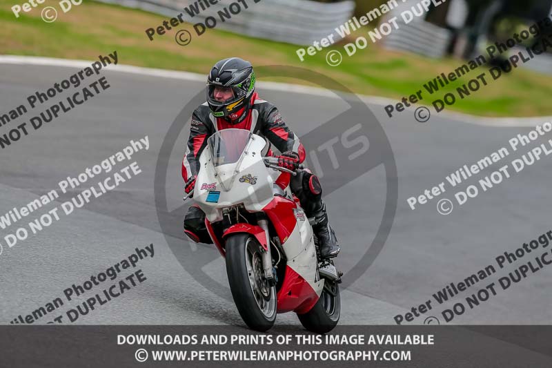 Oulton Park Track Day 18th Aug 2918;PJ Motorsport;anglesey;brands hatch;cadwell park;croft;donington park;enduro digital images;event digital images;eventdigitalimages;mallory;no limits;oulton park;peter wileman photography;racing digital images;silverstone;snetterton;trackday digital images;trackday photos;vmcc banbury run;welsh 2 day enduro