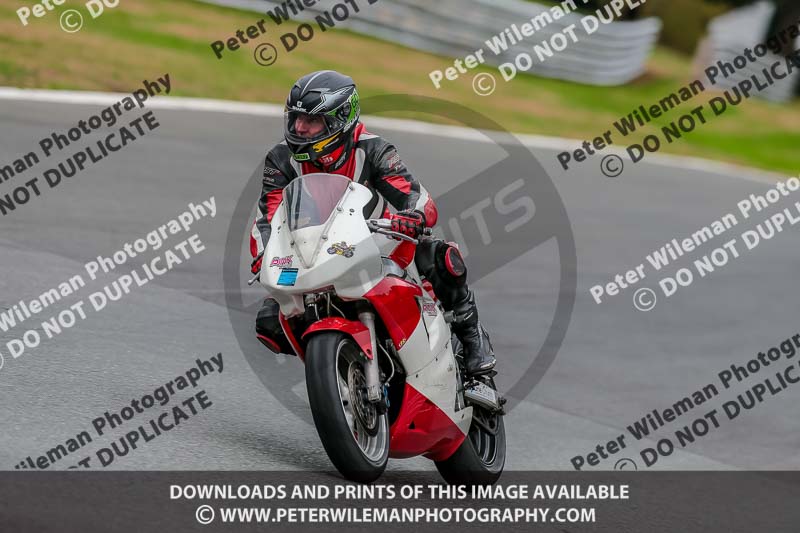 Oulton Park Track Day 18th Aug 2918;PJ Motorsport;anglesey;brands hatch;cadwell park;croft;donington park;enduro digital images;event digital images;eventdigitalimages;mallory;no limits;oulton park;peter wileman photography;racing digital images;silverstone;snetterton;trackday digital images;trackday photos;vmcc banbury run;welsh 2 day enduro