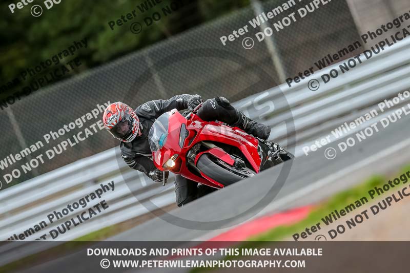 Oulton Park Track Day 18th Aug 2918;PJ Motorsport;anglesey;brands hatch;cadwell park;croft;donington park;enduro digital images;event digital images;eventdigitalimages;mallory;no limits;oulton park;peter wileman photography;racing digital images;silverstone;snetterton;trackday digital images;trackday photos;vmcc banbury run;welsh 2 day enduro