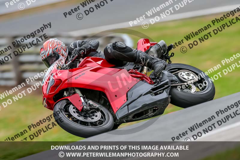 Oulton Park Track Day 18th Aug 2918;PJ Motorsport;anglesey;brands hatch;cadwell park;croft;donington park;enduro digital images;event digital images;eventdigitalimages;mallory;no limits;oulton park;peter wileman photography;racing digital images;silverstone;snetterton;trackday digital images;trackday photos;vmcc banbury run;welsh 2 day enduro