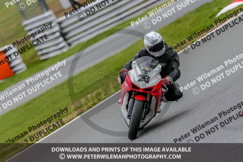 Oulton Park Track Day 18th Aug 2918;PJ Motorsport;anglesey;brands hatch;cadwell park;croft;donington park;enduro digital images;event digital images;eventdigitalimages;mallory;no limits;oulton park;peter wileman photography;racing digital images;silverstone;snetterton;trackday digital images;trackday photos;vmcc banbury run;welsh 2 day enduro