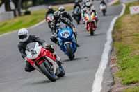 Oulton-Park-Track-Day-18th-Aug-2918;PJ-Motorsport;anglesey;brands-hatch;cadwell-park;croft;donington-park;enduro-digital-images;event-digital-images;eventdigitalimages;mallory;no-limits;oulton-park;peter-wileman-photography;racing-digital-images;silverstone;snetterton;trackday-digital-images;trackday-photos;vmcc-banbury-run;welsh-2-day-enduro