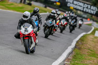 Oulton-Park-Track-Day-18th-Aug-2918;PJ-Motorsport;anglesey;brands-hatch;cadwell-park;croft;donington-park;enduro-digital-images;event-digital-images;eventdigitalimages;mallory;no-limits;oulton-park;peter-wileman-photography;racing-digital-images;silverstone;snetterton;trackday-digital-images;trackday-photos;vmcc-banbury-run;welsh-2-day-enduro