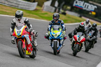 Oulton-Park-Track-Day-18th-Aug-2918;PJ-Motorsport;anglesey;brands-hatch;cadwell-park;croft;donington-park;enduro-digital-images;event-digital-images;eventdigitalimages;mallory;no-limits;oulton-park;peter-wileman-photography;racing-digital-images;silverstone;snetterton;trackday-digital-images;trackday-photos;vmcc-banbury-run;welsh-2-day-enduro