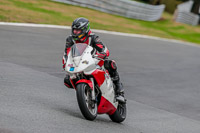 Oulton-Park-Track-Day-18th-Aug-2918;PJ-Motorsport;anglesey;brands-hatch;cadwell-park;croft;donington-park;enduro-digital-images;event-digital-images;eventdigitalimages;mallory;no-limits;oulton-park;peter-wileman-photography;racing-digital-images;silverstone;snetterton;trackday-digital-images;trackday-photos;vmcc-banbury-run;welsh-2-day-enduro