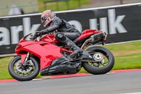 Oulton-Park-Track-Day-18th-Aug-2918;PJ-Motorsport;anglesey;brands-hatch;cadwell-park;croft;donington-park;enduro-digital-images;event-digital-images;eventdigitalimages;mallory;no-limits;oulton-park;peter-wileman-photography;racing-digital-images;silverstone;snetterton;trackday-digital-images;trackday-photos;vmcc-banbury-run;welsh-2-day-enduro