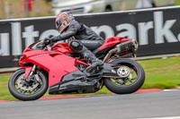 Oulton-Park-Track-Day-18th-Aug-2918;PJ-Motorsport;anglesey;brands-hatch;cadwell-park;croft;donington-park;enduro-digital-images;event-digital-images;eventdigitalimages;mallory;no-limits;oulton-park;peter-wileman-photography;racing-digital-images;silverstone;snetterton;trackday-digital-images;trackday-photos;vmcc-banbury-run;welsh-2-day-enduro