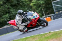 Oulton-Park-Track-Day-18th-Aug-2918;PJ-Motorsport;anglesey;brands-hatch;cadwell-park;croft;donington-park;enduro-digital-images;event-digital-images;eventdigitalimages;mallory;no-limits;oulton-park;peter-wileman-photography;racing-digital-images;silverstone;snetterton;trackday-digital-images;trackday-photos;vmcc-banbury-run;welsh-2-day-enduro