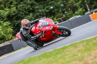 Oulton-Park-Track-Day-18th-Aug-2918;PJ-Motorsport;anglesey;brands-hatch;cadwell-park;croft;donington-park;enduro-digital-images;event-digital-images;eventdigitalimages;mallory;no-limits;oulton-park;peter-wileman-photography;racing-digital-images;silverstone;snetterton;trackday-digital-images;trackday-photos;vmcc-banbury-run;welsh-2-day-enduro