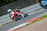 Oulton-Park-Track-Day-18th-Aug-2918;PJ-Motorsport;anglesey;brands-hatch;cadwell-park;croft;donington-park;enduro-digital-images;event-digital-images;eventdigitalimages;mallory;no-limits;oulton-park;peter-wileman-photography;racing-digital-images;silverstone;snetterton;trackday-digital-images;trackday-photos;vmcc-banbury-run;welsh-2-day-enduro