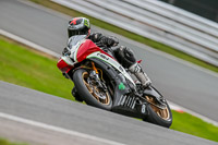 Oulton-Park-Track-Day-18th-Aug-2918;PJ-Motorsport;anglesey;brands-hatch;cadwell-park;croft;donington-park;enduro-digital-images;event-digital-images;eventdigitalimages;mallory;no-limits;oulton-park;peter-wileman-photography;racing-digital-images;silverstone;snetterton;trackday-digital-images;trackday-photos;vmcc-banbury-run;welsh-2-day-enduro