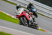 Oulton-Park-Track-Day-18th-Aug-2918;PJ-Motorsport;anglesey;brands-hatch;cadwell-park;croft;donington-park;enduro-digital-images;event-digital-images;eventdigitalimages;mallory;no-limits;oulton-park;peter-wileman-photography;racing-digital-images;silverstone;snetterton;trackday-digital-images;trackday-photos;vmcc-banbury-run;welsh-2-day-enduro