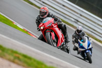 Oulton-Park-Track-Day-18th-Aug-2918;PJ-Motorsport;anglesey;brands-hatch;cadwell-park;croft;donington-park;enduro-digital-images;event-digital-images;eventdigitalimages;mallory;no-limits;oulton-park;peter-wileman-photography;racing-digital-images;silverstone;snetterton;trackday-digital-images;trackday-photos;vmcc-banbury-run;welsh-2-day-enduro