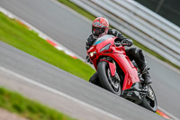 Oulton-Park-Track-Day-18th-Aug-2918;PJ-Motorsport;anglesey;brands-hatch;cadwell-park;croft;donington-park;enduro-digital-images;event-digital-images;eventdigitalimages;mallory;no-limits;oulton-park;peter-wileman-photography;racing-digital-images;silverstone;snetterton;trackday-digital-images;trackday-photos;vmcc-banbury-run;welsh-2-day-enduro