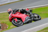 Oulton-Park-Track-Day-18th-Aug-2918;PJ-Motorsport;anglesey;brands-hatch;cadwell-park;croft;donington-park;enduro-digital-images;event-digital-images;eventdigitalimages;mallory;no-limits;oulton-park;peter-wileman-photography;racing-digital-images;silverstone;snetterton;trackday-digital-images;trackday-photos;vmcc-banbury-run;welsh-2-day-enduro