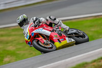 Oulton-Park-Track-Day-18th-Aug-2918;PJ-Motorsport;anglesey;brands-hatch;cadwell-park;croft;donington-park;enduro-digital-images;event-digital-images;eventdigitalimages;mallory;no-limits;oulton-park;peter-wileman-photography;racing-digital-images;silverstone;snetterton;trackday-digital-images;trackday-photos;vmcc-banbury-run;welsh-2-day-enduro