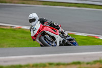 Oulton-Park-Track-Day-18th-Aug-2918;PJ-Motorsport;anglesey;brands-hatch;cadwell-park;croft;donington-park;enduro-digital-images;event-digital-images;eventdigitalimages;mallory;no-limits;oulton-park;peter-wileman-photography;racing-digital-images;silverstone;snetterton;trackday-digital-images;trackday-photos;vmcc-banbury-run;welsh-2-day-enduro