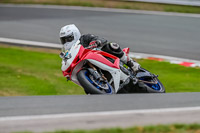 Oulton-Park-Track-Day-18th-Aug-2918;PJ-Motorsport;anglesey;brands-hatch;cadwell-park;croft;donington-park;enduro-digital-images;event-digital-images;eventdigitalimages;mallory;no-limits;oulton-park;peter-wileman-photography;racing-digital-images;silverstone;snetterton;trackday-digital-images;trackday-photos;vmcc-banbury-run;welsh-2-day-enduro