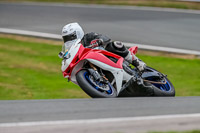 Oulton-Park-Track-Day-18th-Aug-2918;PJ-Motorsport;anglesey;brands-hatch;cadwell-park;croft;donington-park;enduro-digital-images;event-digital-images;eventdigitalimages;mallory;no-limits;oulton-park;peter-wileman-photography;racing-digital-images;silverstone;snetterton;trackday-digital-images;trackday-photos;vmcc-banbury-run;welsh-2-day-enduro