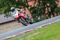 Oulton-Park-Track-Day-18th-Aug-2918;PJ-Motorsport;anglesey;brands-hatch;cadwell-park;croft;donington-park;enduro-digital-images;event-digital-images;eventdigitalimages;mallory;no-limits;oulton-park;peter-wileman-photography;racing-digital-images;silverstone;snetterton;trackday-digital-images;trackday-photos;vmcc-banbury-run;welsh-2-day-enduro