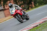 Oulton-Park-Track-Day-18th-Aug-2918;PJ-Motorsport;anglesey;brands-hatch;cadwell-park;croft;donington-park;enduro-digital-images;event-digital-images;eventdigitalimages;mallory;no-limits;oulton-park;peter-wileman-photography;racing-digital-images;silverstone;snetterton;trackday-digital-images;trackday-photos;vmcc-banbury-run;welsh-2-day-enduro