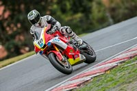 Oulton-Park-Track-Day-18th-Aug-2918;PJ-Motorsport;anglesey;brands-hatch;cadwell-park;croft;donington-park;enduro-digital-images;event-digital-images;eventdigitalimages;mallory;no-limits;oulton-park;peter-wileman-photography;racing-digital-images;silverstone;snetterton;trackday-digital-images;trackday-photos;vmcc-banbury-run;welsh-2-day-enduro