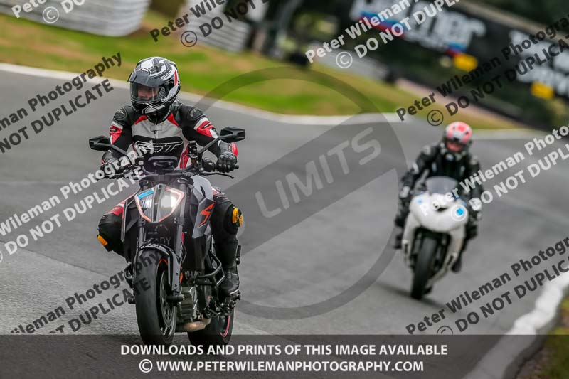 Oulton Park Track Day 18th Aug 2918;PJ Motorsport;anglesey;brands hatch;cadwell park;croft;donington park;enduro digital images;event digital images;eventdigitalimages;mallory;no limits;oulton park;peter wileman photography;racing digital images;silverstone;snetterton;trackday digital images;trackday photos;vmcc banbury run;welsh 2 day enduro