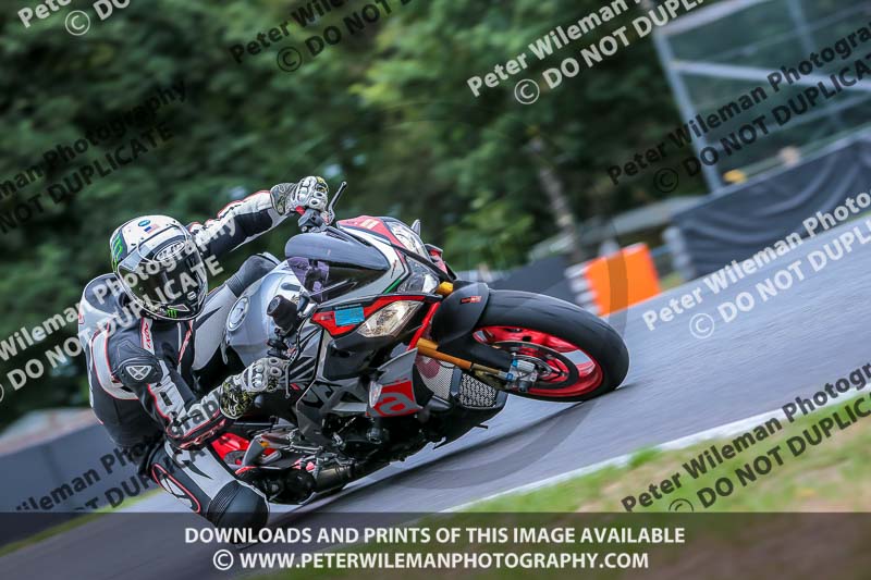 Oulton Park Track Day 18th Aug 2918;PJ Motorsport;anglesey;brands hatch;cadwell park;croft;donington park;enduro digital images;event digital images;eventdigitalimages;mallory;no limits;oulton park;peter wileman photography;racing digital images;silverstone;snetterton;trackday digital images;trackday photos;vmcc banbury run;welsh 2 day enduro