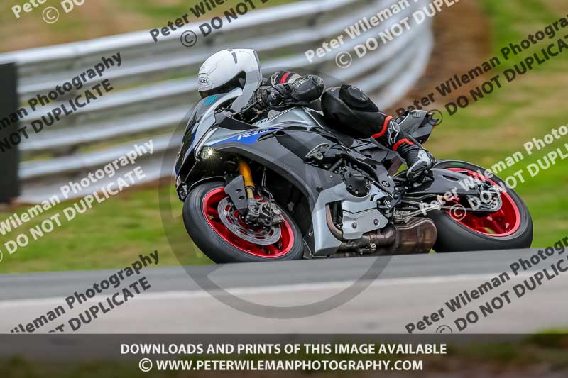 Oulton Park Track Day 18th Aug 2918;PJ Motorsport;anglesey;brands hatch;cadwell park;croft;donington park;enduro digital images;event digital images;eventdigitalimages;mallory;no limits;oulton park;peter wileman photography;racing digital images;silverstone;snetterton;trackday digital images;trackday photos;vmcc banbury run;welsh 2 day enduro