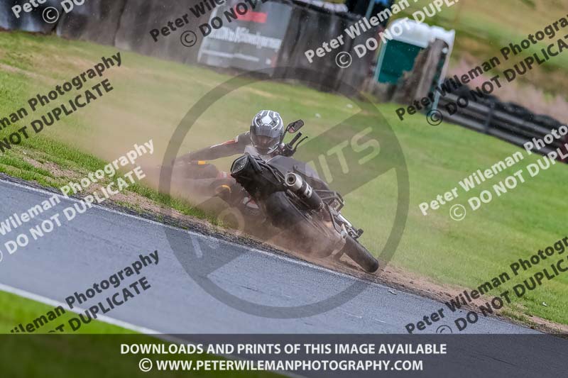 Oulton Park Track Day 18th Aug 2918;PJ Motorsport;anglesey;brands hatch;cadwell park;croft;donington park;enduro digital images;event digital images;eventdigitalimages;mallory;no limits;oulton park;peter wileman photography;racing digital images;silverstone;snetterton;trackday digital images;trackday photos;vmcc banbury run;welsh 2 day enduro