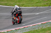 Oulton-Park-Track-Day-18th-Aug-2918;PJ-Motorsport;anglesey;brands-hatch;cadwell-park;croft;donington-park;enduro-digital-images;event-digital-images;eventdigitalimages;mallory;no-limits;oulton-park;peter-wileman-photography;racing-digital-images;silverstone;snetterton;trackday-digital-images;trackday-photos;vmcc-banbury-run;welsh-2-day-enduro