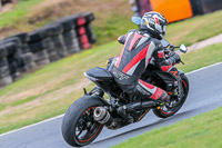 Oulton-Park-Track-Day-18th-Aug-2918;PJ-Motorsport;anglesey;brands-hatch;cadwell-park;croft;donington-park;enduro-digital-images;event-digital-images;eventdigitalimages;mallory;no-limits;oulton-park;peter-wileman-photography;racing-digital-images;silverstone;snetterton;trackday-digital-images;trackday-photos;vmcc-banbury-run;welsh-2-day-enduro